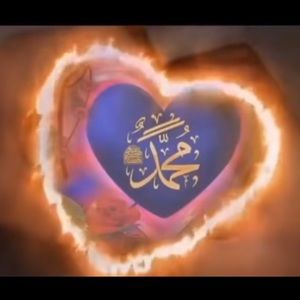 Meet your Posher, Nadia